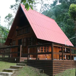 https://cabana-da-imperatriz.santa-catarina-brasil.com